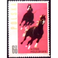 1963 Horses from Mazury Region