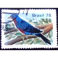 1978 C 1037 Cotinga U