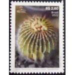 2022 C 4070 Uebelmannia pectinifera M