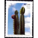 2022 C 4071 Cereus jamacaru M
