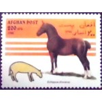 1996 AF 1695 Epihippus N 1996 AF 1695 Epihippus N