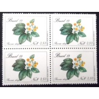 1989 BR C 1631 GoeteaPavonia M QD