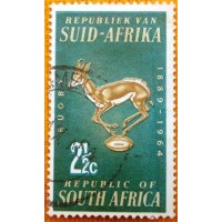 1964 Springbok