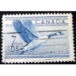 1952 Canada Goose 7 1952 Canada Goose 7