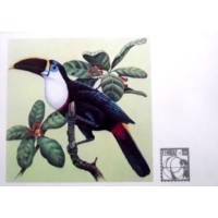 1983 BR CP Peitobranco