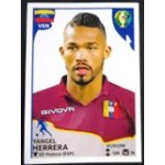 2019 CA 0079 Yangel Herrera