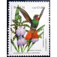 1991 C 1757 Clytolaema M