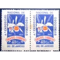 1946 C 0224 Orquídeas N PR