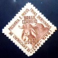 1943 C 0185 Exposição Pecuária M