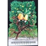 2006 BR B 0141 Cajueiro M