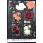 2007 BR B0146 Rosas M