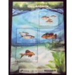 2024 BR B 0242 Meio Ambiente M