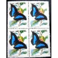 1986 C 1514  Prepona eugenes diluta M QD