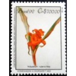 1992 C 1807 Nidularium Rubens M
