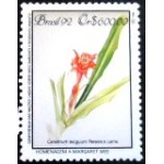 1992 C 1806 Canistrum Exiguum M