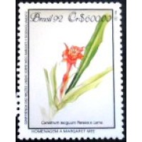 1992 C 1806 Canistrum Exiguum M