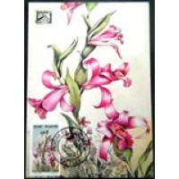 1982 MAX 70 Cleistes revoluta 17564