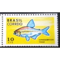 1969 C 1217 Hyphessobrycon vilmae M