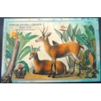 2023 BR CP  Cervo do Pantanal