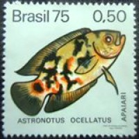 1975 C 0887 Apaiari M