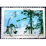 1975 C 0892 Pinheirais Araucária U