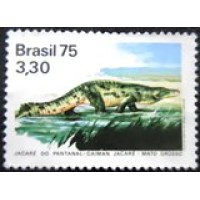 1975 C 0894  Jacaré do Pantanal N