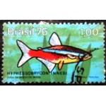 1976 C 0939 Hyphessobrycon U
