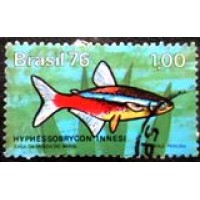 1976 C 0939 Hyphessobrycon U