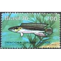 1976 C 0942  Jacundá N