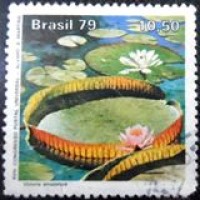 1979 C 1091 Victoria Amazônica U
