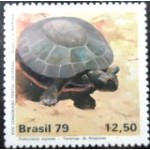 1979 C 1093  Tartaruga do Amazonas N