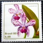 1980 C 1162 Catleya M