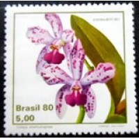 1980 C 1162 Catleya M