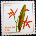 1980 C 1163  Laelia Cinabbarina N