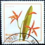 1980 C 1163 Laelia Cinabbarina U