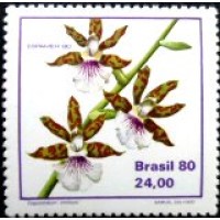 1980 C 1164 Zygopetalum Crinitum M