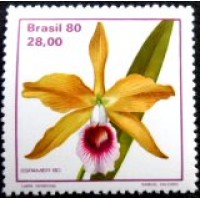 1980 C 1165 Laelia Tenebrosa M