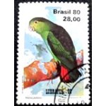 1980 C 1169 Papagainho MCC