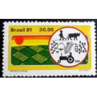 1981 C 1183 Produtividade M