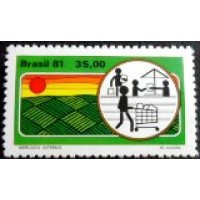 1981 C 1184 Mercado Interno M