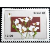 1981 C 1218 Dalechampia M