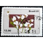 1981 C 1218 Dalechampia U