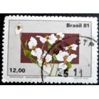 1981 C 1218 Dalechampia U