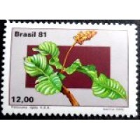 1981 C 1219 Pslicourea M