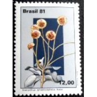 1981 C 1220 Eremanthus M