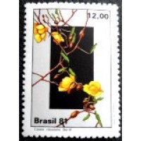 1981 C 1221 Cássia M