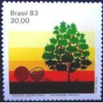 1983 C 1316 Castanheira M