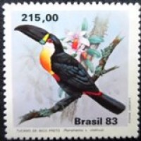 1983 C 1324 Bico Preto M