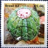 1983 C 1352 Coroa de Frade U