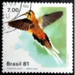 1981 C 1200 Limpacasa MCC